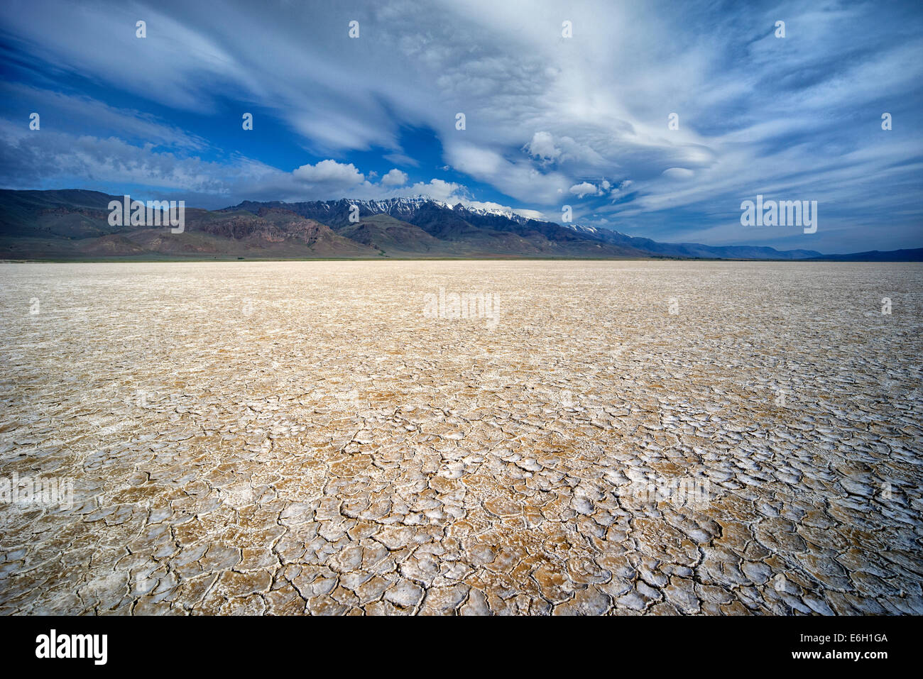 Deserto Alvord e Steens Mountain, Oregon Foto Stock