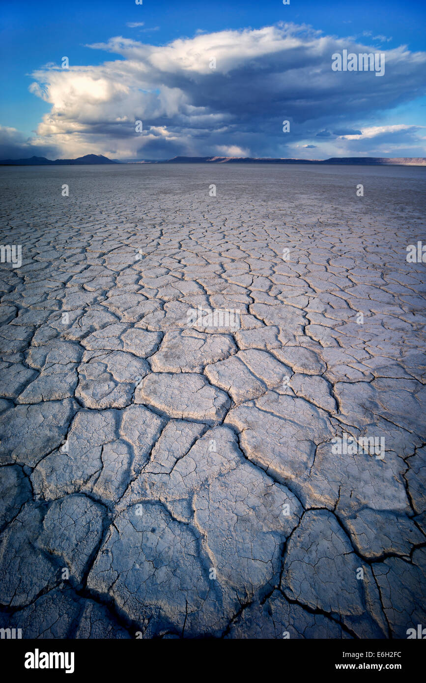 Deserto Alvord e nuvole Harney County, Oregon. Foto Stock