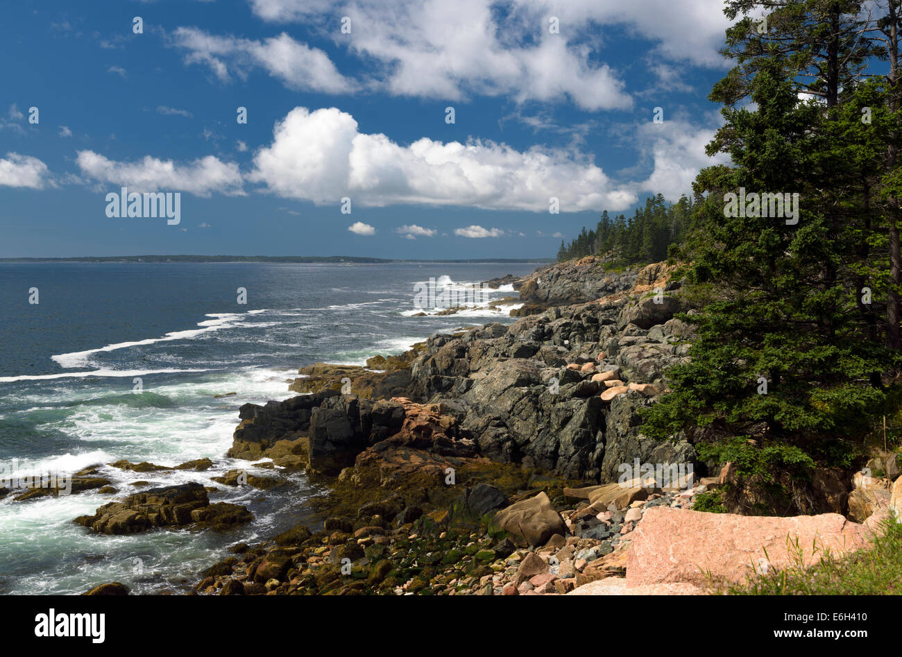 Robusto costa del Maine, Parco Nazionale di Acadia. Foto Stock