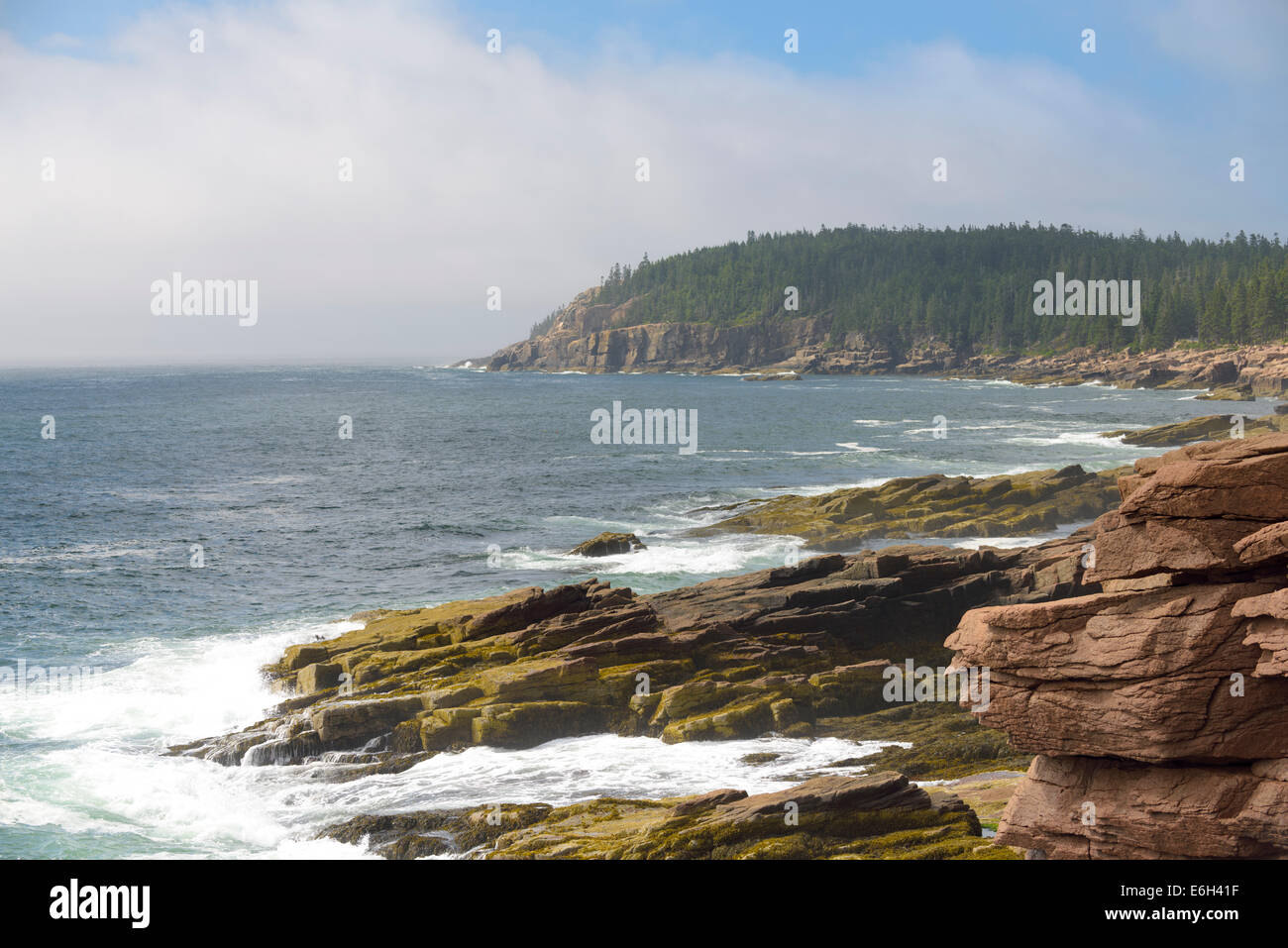 Robusto costa del Maine, Parco Nazionale di Acadia. Foto Stock