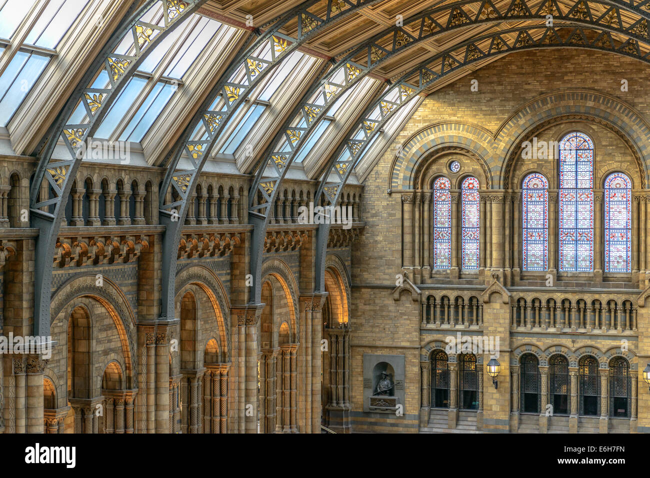 Museo di Storia Naturale interno in Londra, Regno Unito Foto Stock