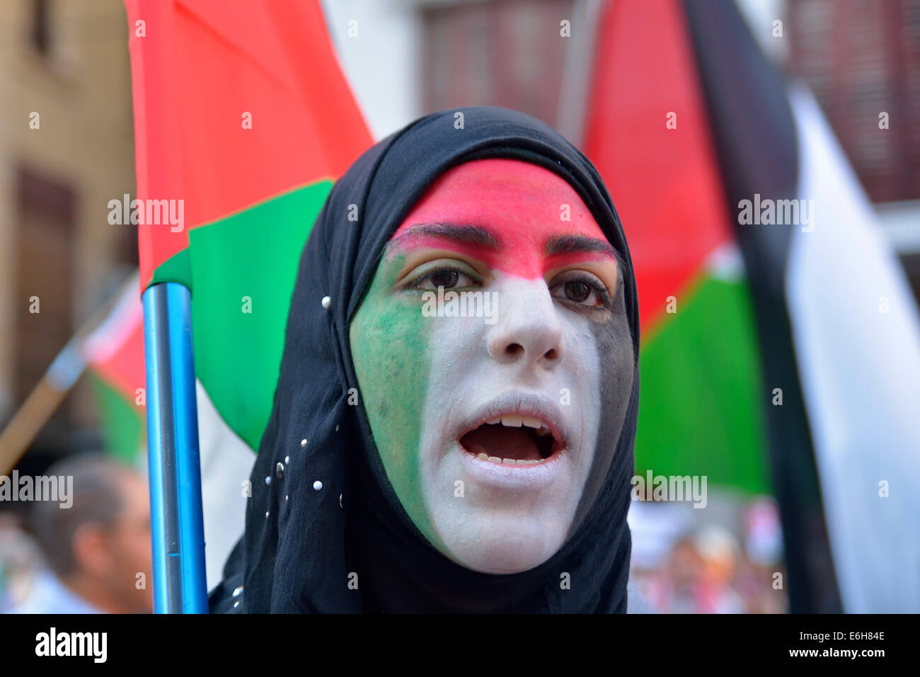 Donna con la Palestina bandiera dipinta nel suo viso che protestavano contro Israele di fronte al Ministero degli Affari Esteri nel corso di un DEM Foto Stock