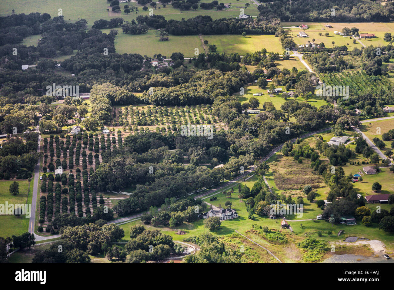 Vista aerea di agrumeti nella Florida Centrale Foto Stock
