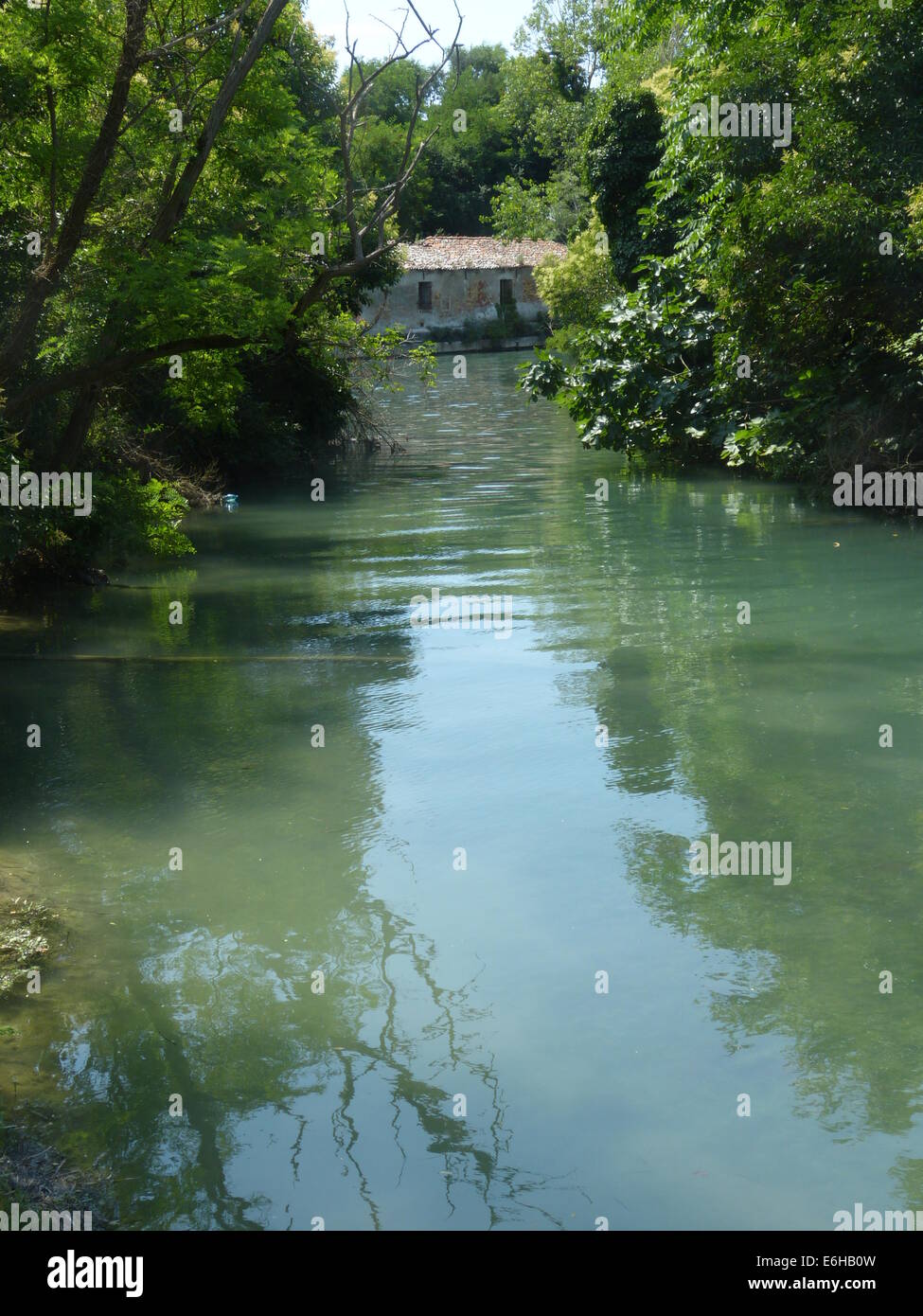 Una selvaggia laguna di acqua stagnante sull'isola ricoperta di La Vignole nella laguna di Venezia Foto Stock