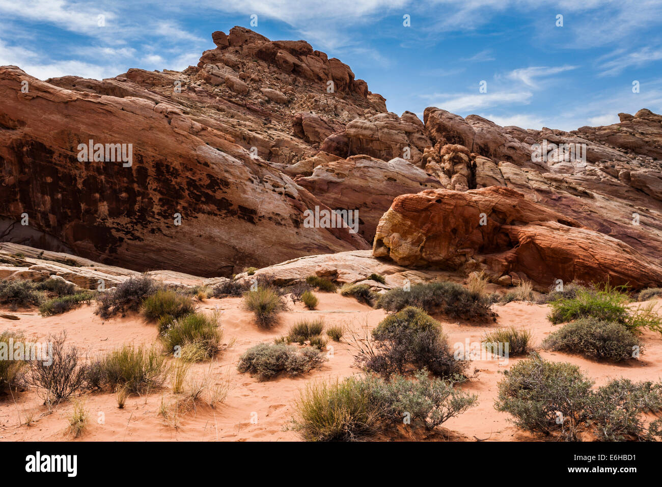 Le formazioni rocciose e vegetazione nel deserto della Valle di Fire State Park vicino a Overton, Nevada Foto Stock