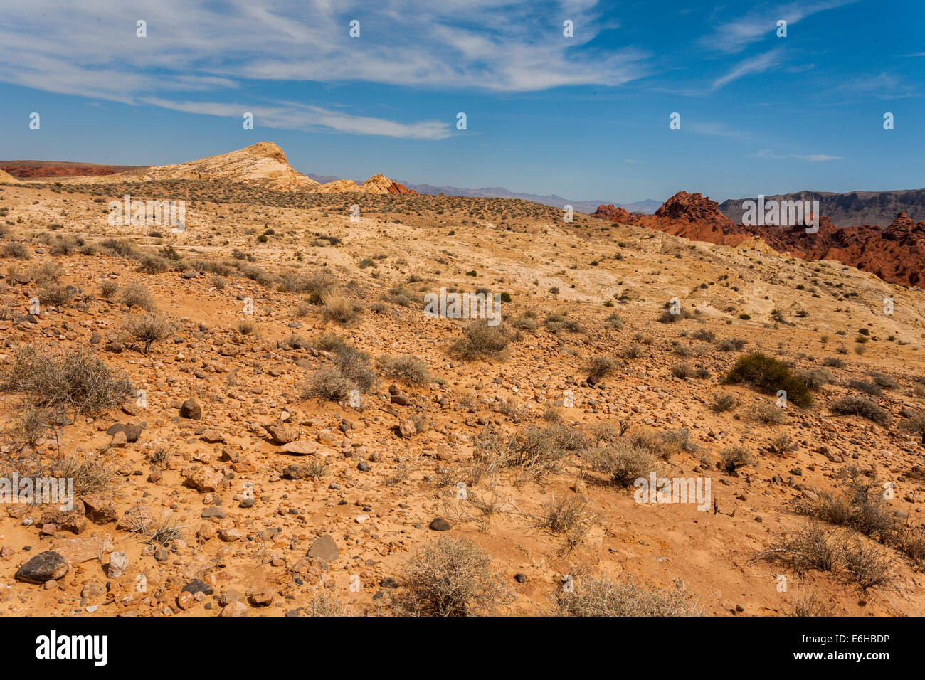 Le formazioni rocciose e vegetazione nel deserto della Valle di Fire State Park vicino a Overton, Nevada Foto Stock