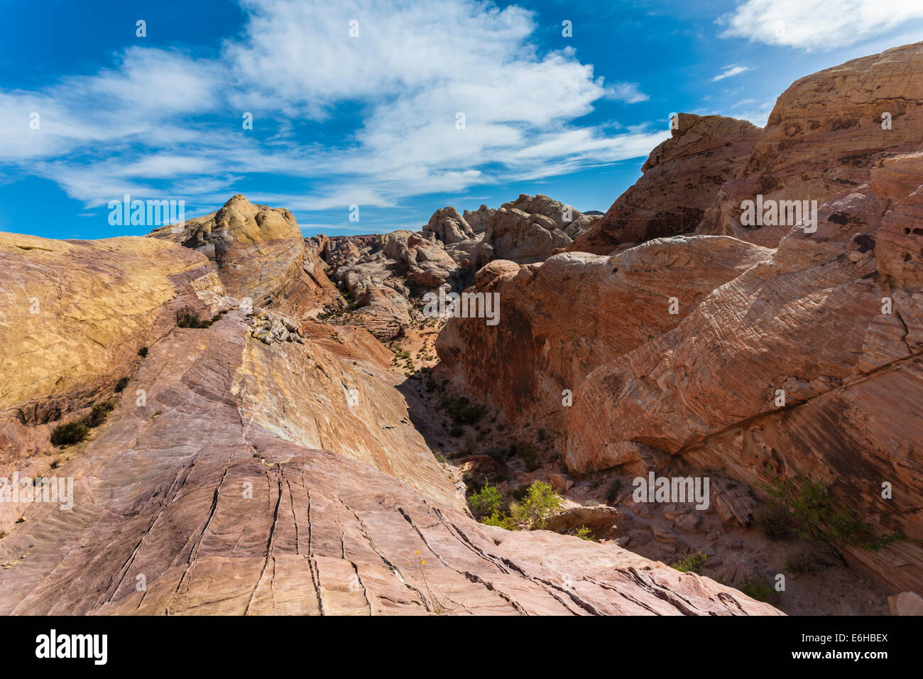 Le formazioni rocciose e vegetazione nel deserto della Valle di Fire State Park vicino a Overton, Nevada Foto Stock