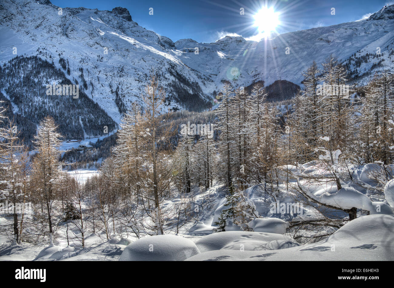 La montagna e la foresta di larici sotto la neve fresca. Alpi svizzere, nei pressi del villaggio di Saas-Fee. Foto Stock