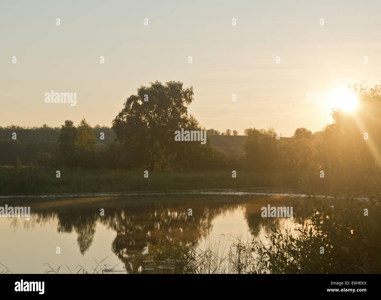 Mattina in un lago Foto Stock