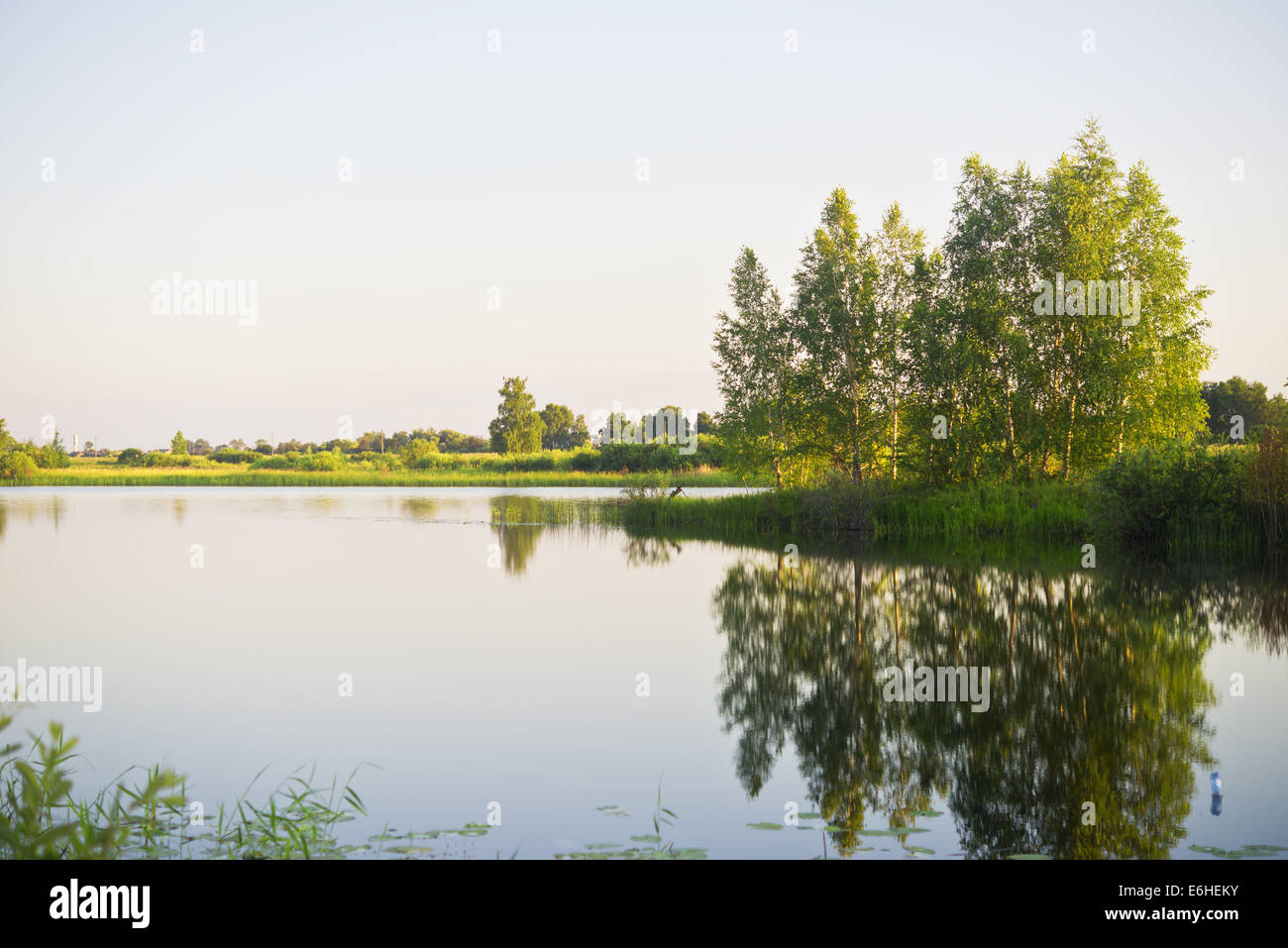 Mattina in un lago Foto Stock