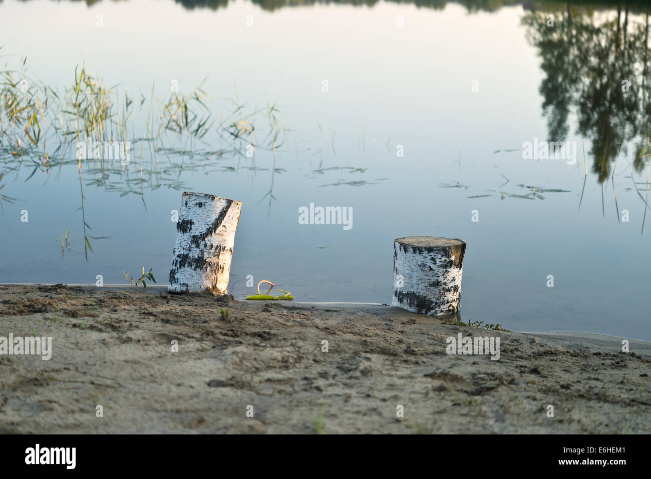 Mattina in un lago Foto Stock