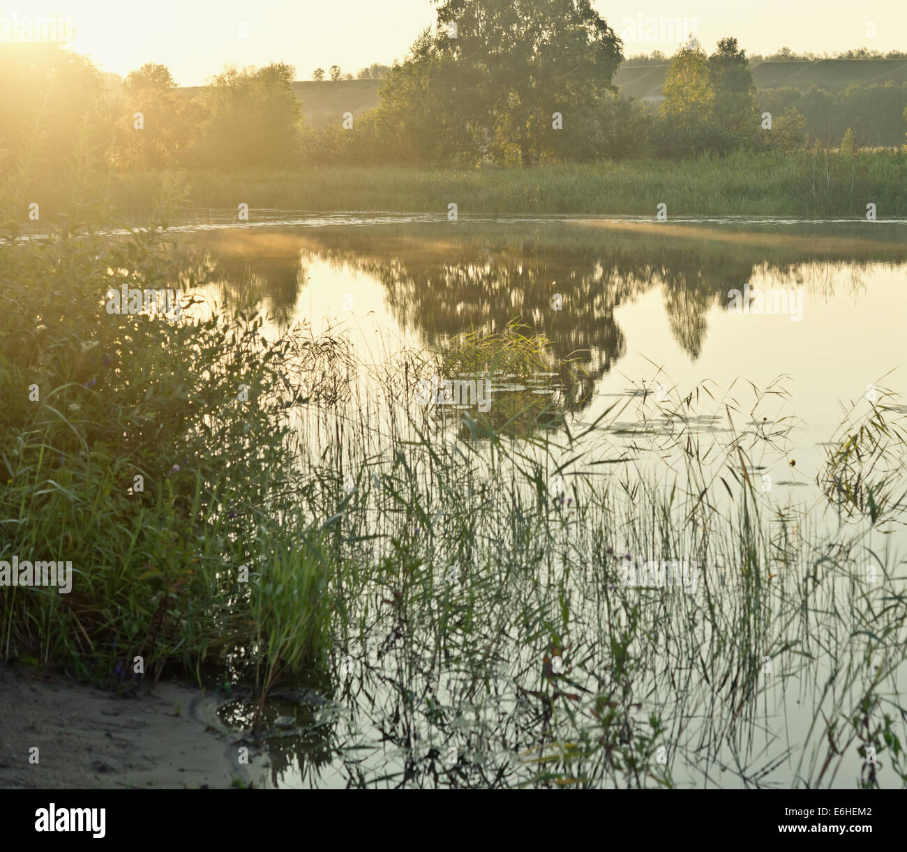 Mattina in un lago Foto Stock