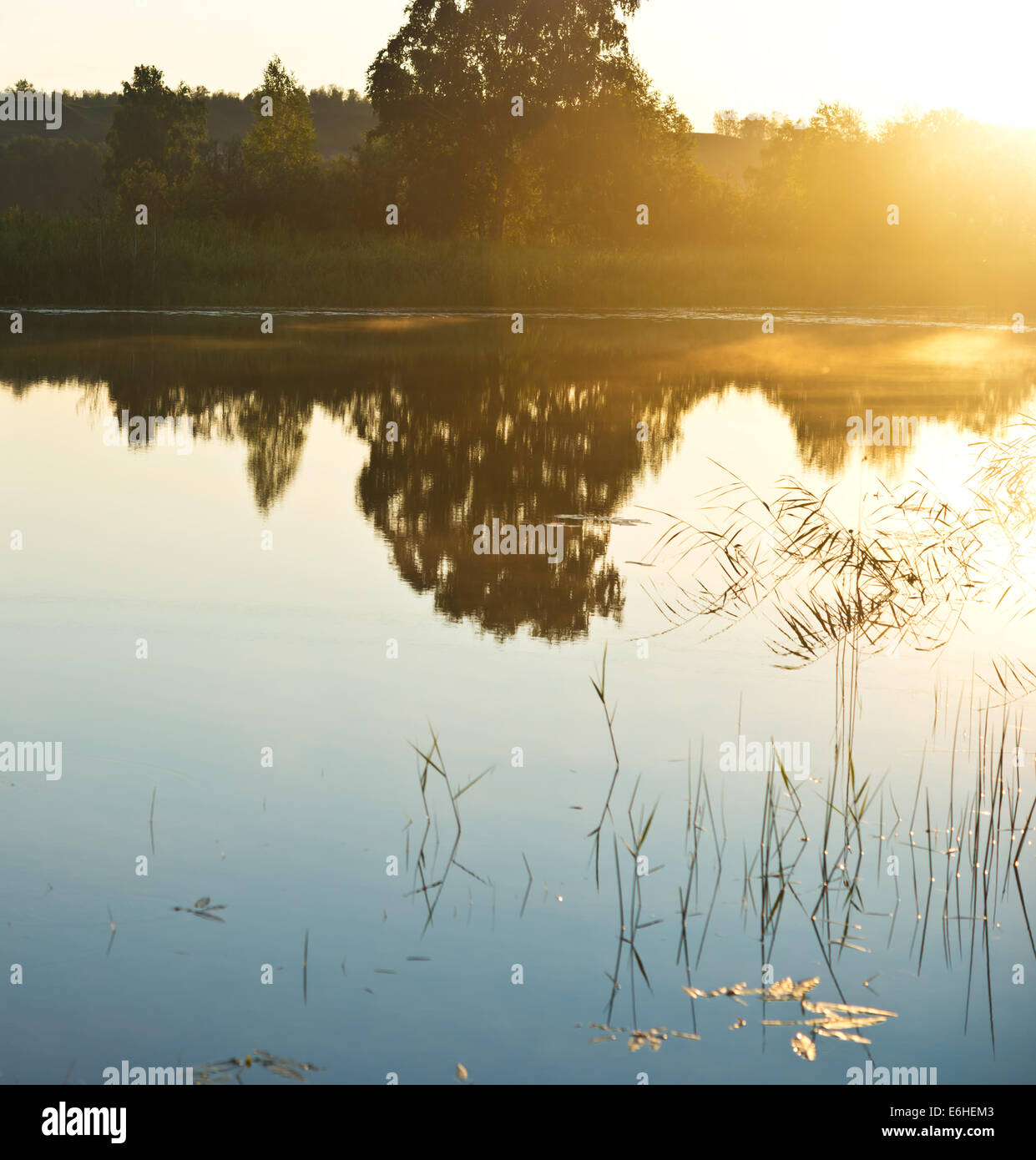 Mattina in un lago Foto Stock