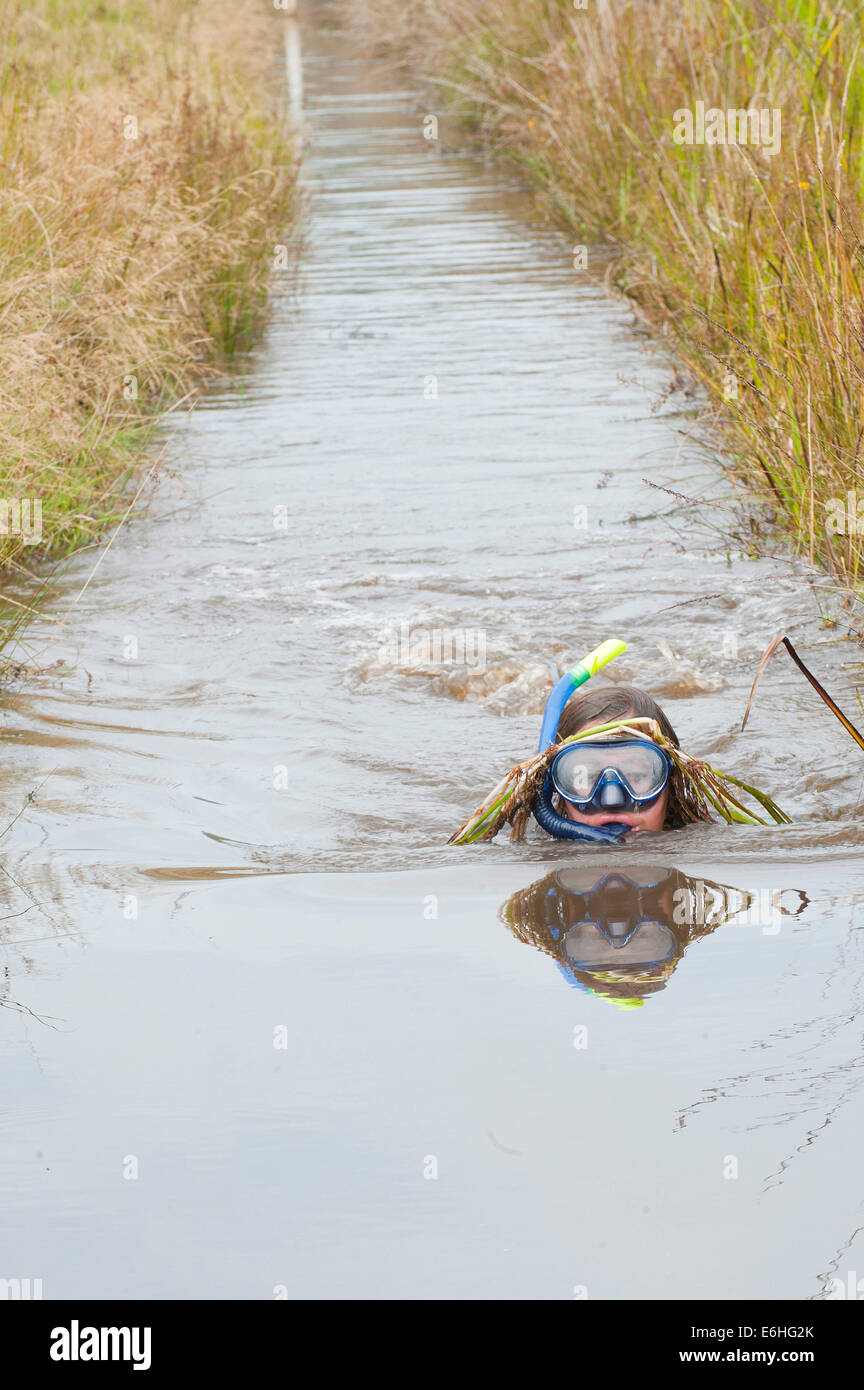 Hotel a Llanwrtyd Wells, Regno Unito. 24 agosto 2014. Joanna Parker 28 da Bristol completa il swim.Il mondo Bogsnorkelling Championships, concepito nel 1985 da Gordon Green, sono tenuto a Waen Rhydd Bog nella montagna Cambriano pedemontana. I concorrenti di nuotare 2 lunghezze di un 55 metri di trincea tagliare attraverso una torbiera che indossa lo snorkel e pinne con piscina non convenzionale. Il precedente record mondiale detenute da Andrew Holmes era rotto nel 2013 da Dineka Maguire con un tempo di 1 min 23.13 s. Credito: Graham M. Lawrence/Alamy Live News. Foto Stock