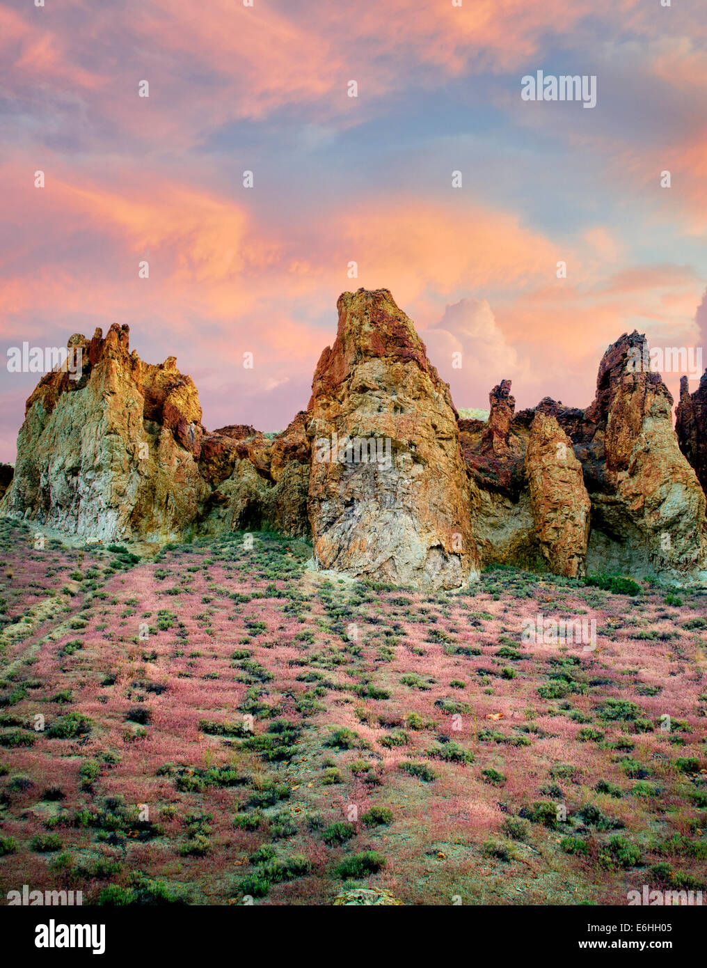 Formazioni rocciose con red Brome erba e nuvole in Leslie Gultch. Malhuer County, Oregon Foto Stock