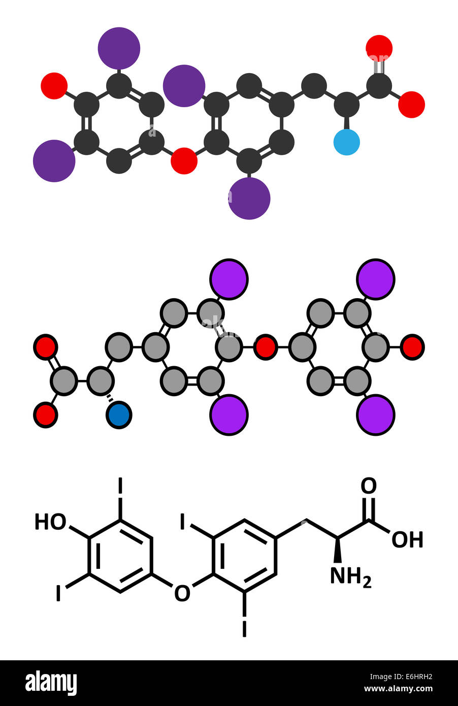 Tiroxina (T4, la levotirossina) di ormone tiroideo molecola. Proormone di thyronine (T3). Utilizzato come farmaco per il trattamento di ipotiroidismo. Styl Foto Stock