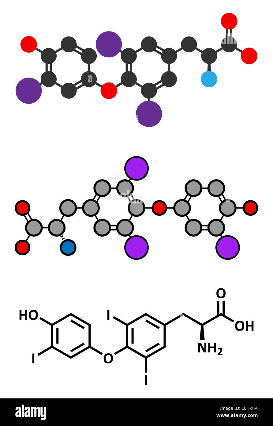 Triiodotironina (T3, liotironina) di ormone tiroideo molecola. Ipofisi ormone. Anche utilizzato come farmaco per il trattamento di ipotiroidismo Foto Stock