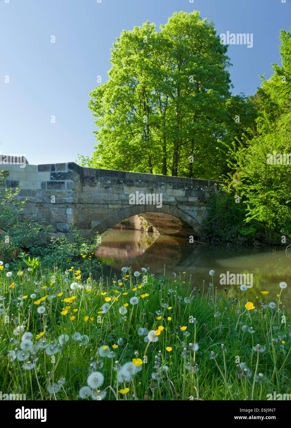 Arco in pietra ponte a Buttercrambe East Yorkshire Inghilterra Foto Stock