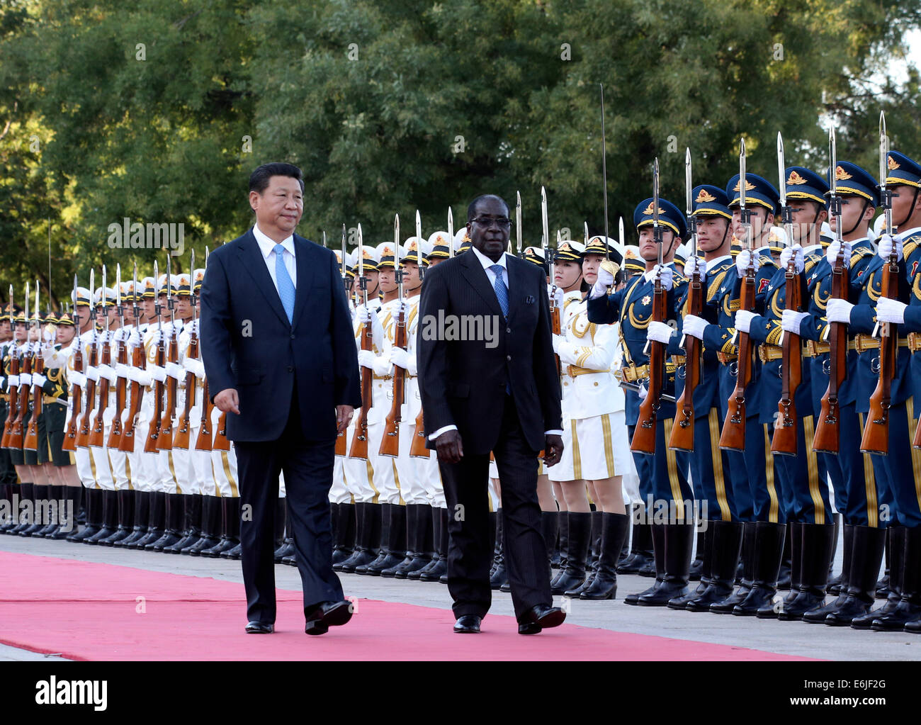 Pechino, Cina. 25 Ago, 2014. Il presidente cinese Xi Jinping (L anteriore) detiene una cerimonia di benvenuto per il Presidente zimbabwano Robert Mugabe prima i colloqui a Pechino in Cina, e il agosto 25, 2014. Credito: Ding Lin/Xinhua/Alamy Live News Foto Stock