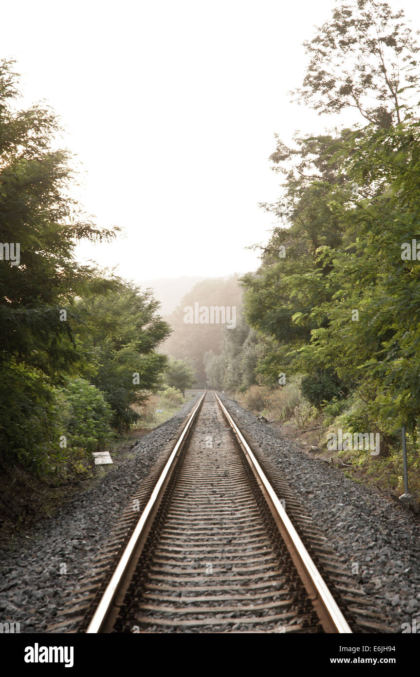 Ferrovia in natura, Repubblica Ceca Foto Stock