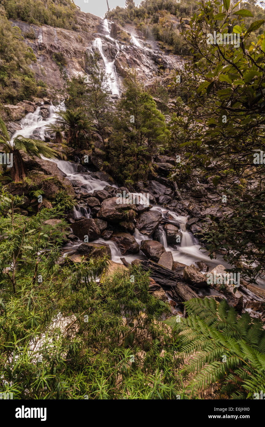 San Columba cade, Cascata San Columba Falls riserva statale, PYENGANA VALE, Valle, ST HELENS, nel nord est della Tasmania, Australia Foto Stock