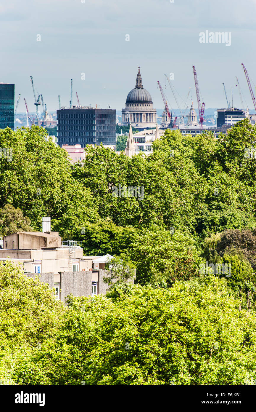 London skyline da Primrose Hill nei pressi di Camden a Londra Foto Stock