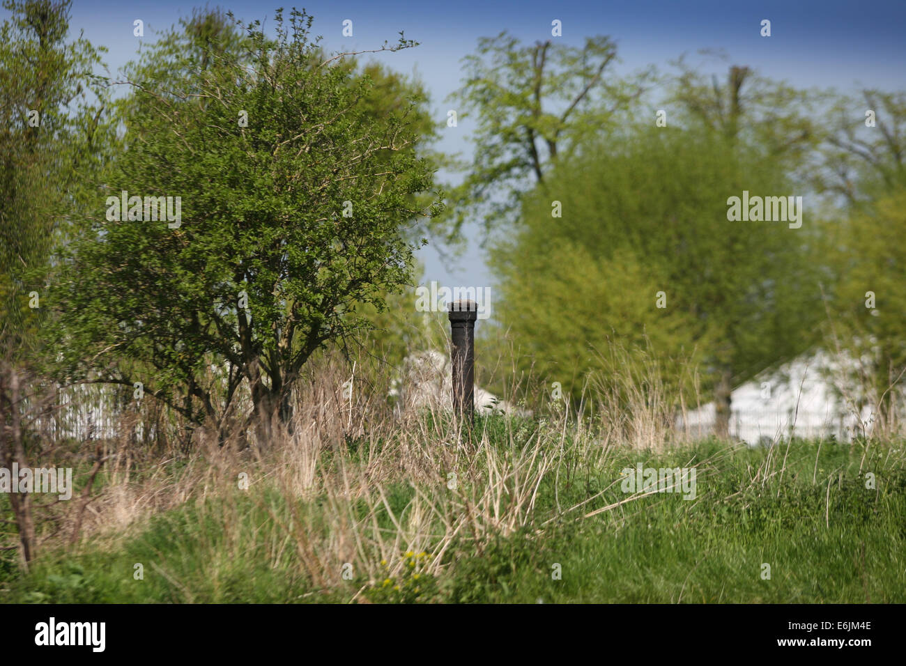 Un strapping o ruotando il post, una volta utilizzato da cavallo e chiatte per agevolare la navigazione delle pieghe sul Fiume Tamigi. Foto Stock