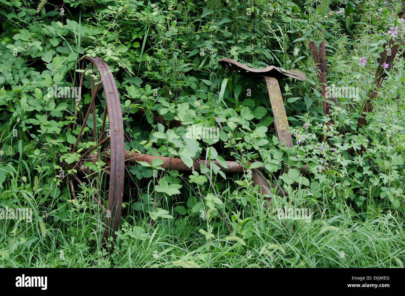 Vecchio arrugginito azienda agricola macchina coperta da erbacce. L'Italia. Foto Stock