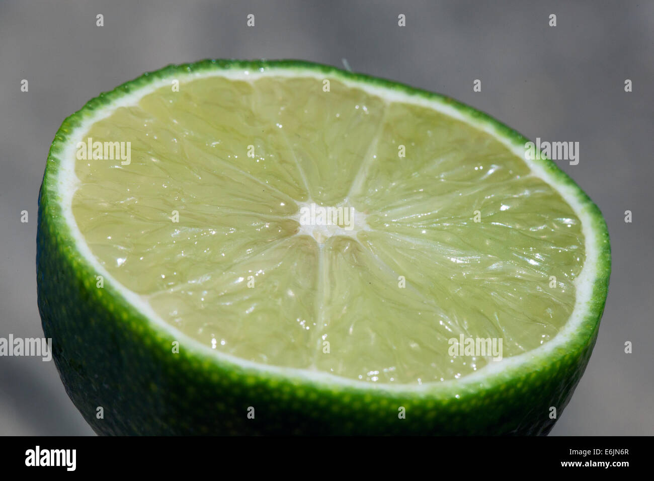 Lime a taglio trasversale di taglio trasversale della macro Foto Stock