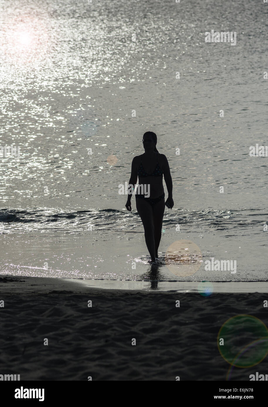 La silhouette di una donna nel suo 30s passeggiate fuori dell'oceano dei Caraibi su una spiaggia tropicale. Foto Stock