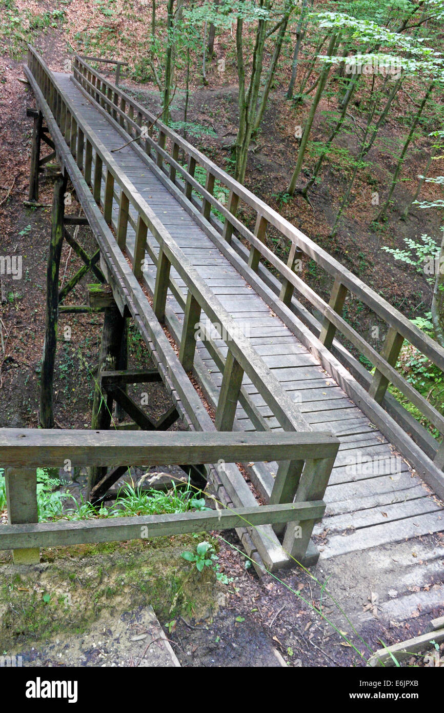 Ponte di legno in deep forest, sentiero escursionistico Foto Stock