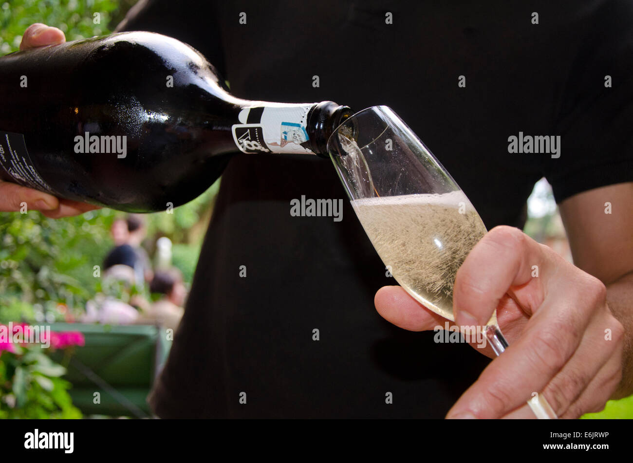 Nævne flamme dine Uomo che serve un Prosecco V8+, un italiano di vino bianco frizzante Foto  stock - Alamy