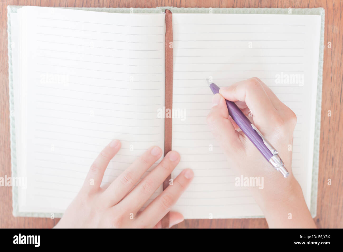 La donna la scrittura sul proprio portatile, stock photo Foto Stock