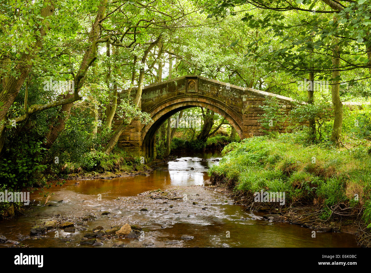 Ponte Packhorse vicino Westerdale, North York Moors National Park, England Regno Unito Foto Stock