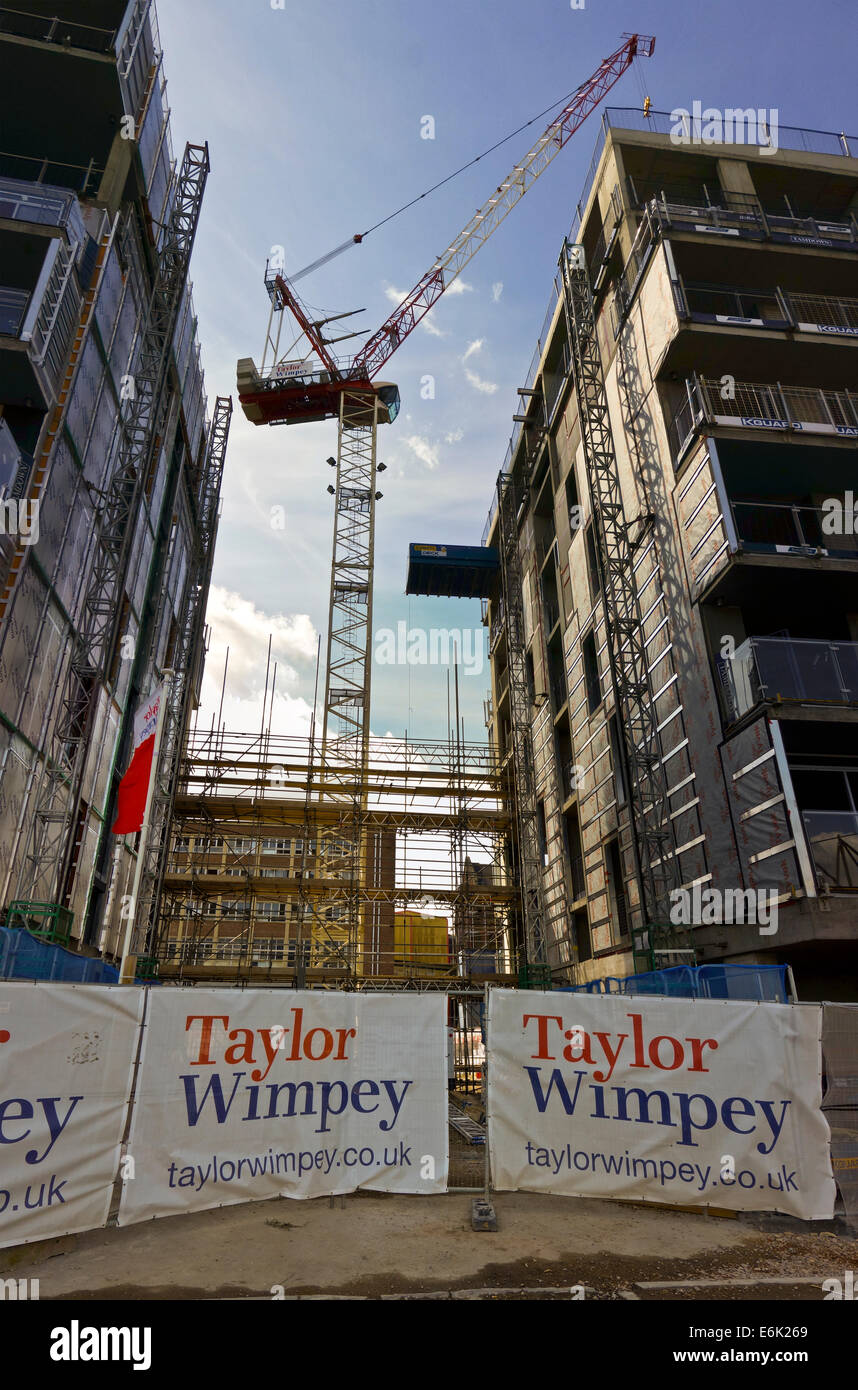 Taylor Wimpey sito in costruzione appartamenti Norwich Foto Stock