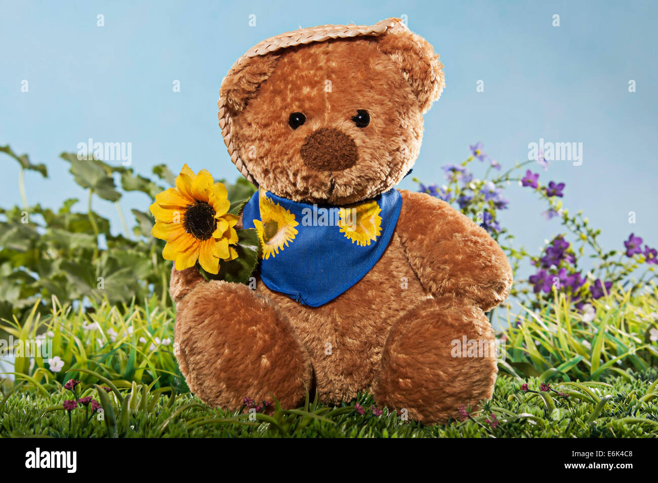 Semi Di Girasole Orso Teddy - Fiori Soffici E Dorati Per - Foto 4