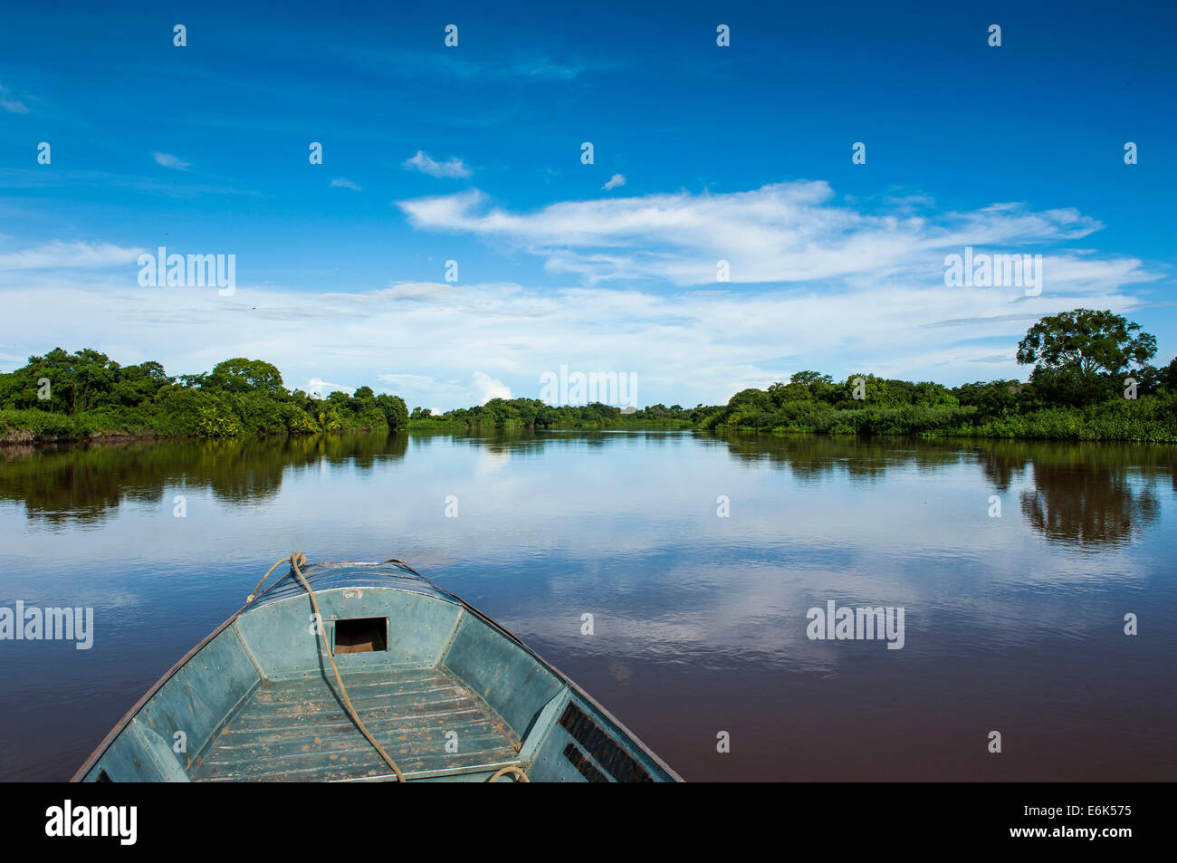 Barca su un fiume, circondato da alberi, Pantanal, Sito Patrimonio Mondiale dell'UNESCO, Mato Grosso do Sul, Brasile Foto Stock