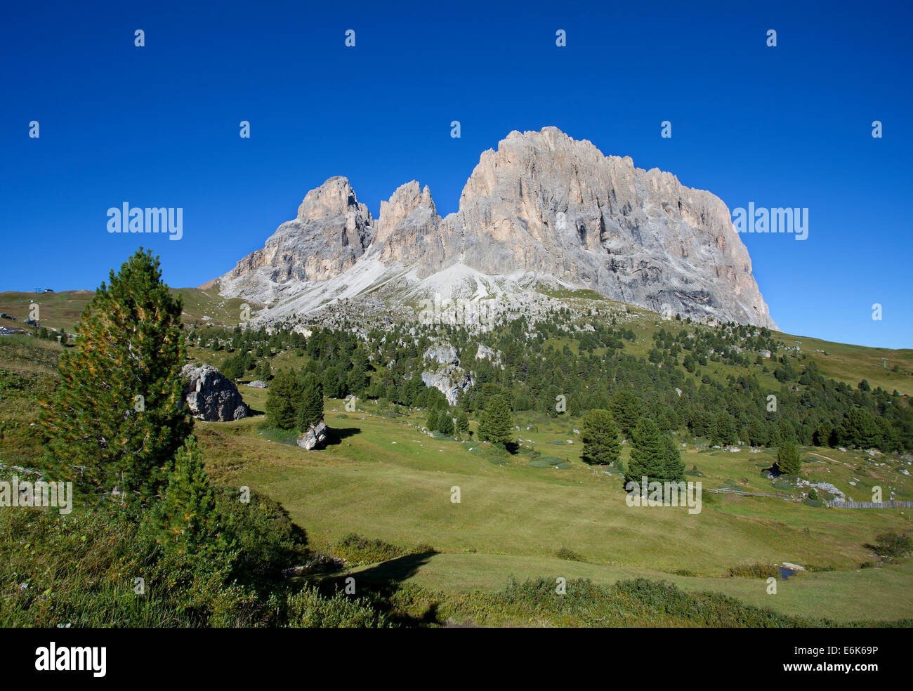 Prato alpino, Gruppo del Sasso Lungo, Grohmannspitze Mountain, sinistra, Fünffingerspitze o cinque dita di picco, centro, Sassolungo montagna Foto Stock