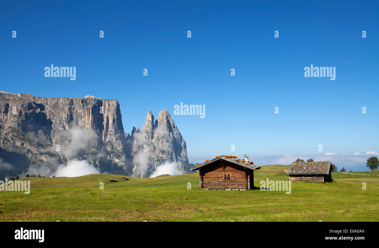 Rifugi di montagna, il massiccio dello Sciliar o massiccio dello Sciliar, dello Sciliar o, dello Sciliar Alpe di Siusi o Alpe di Siusi, alta pascolo alpino Foto Stock