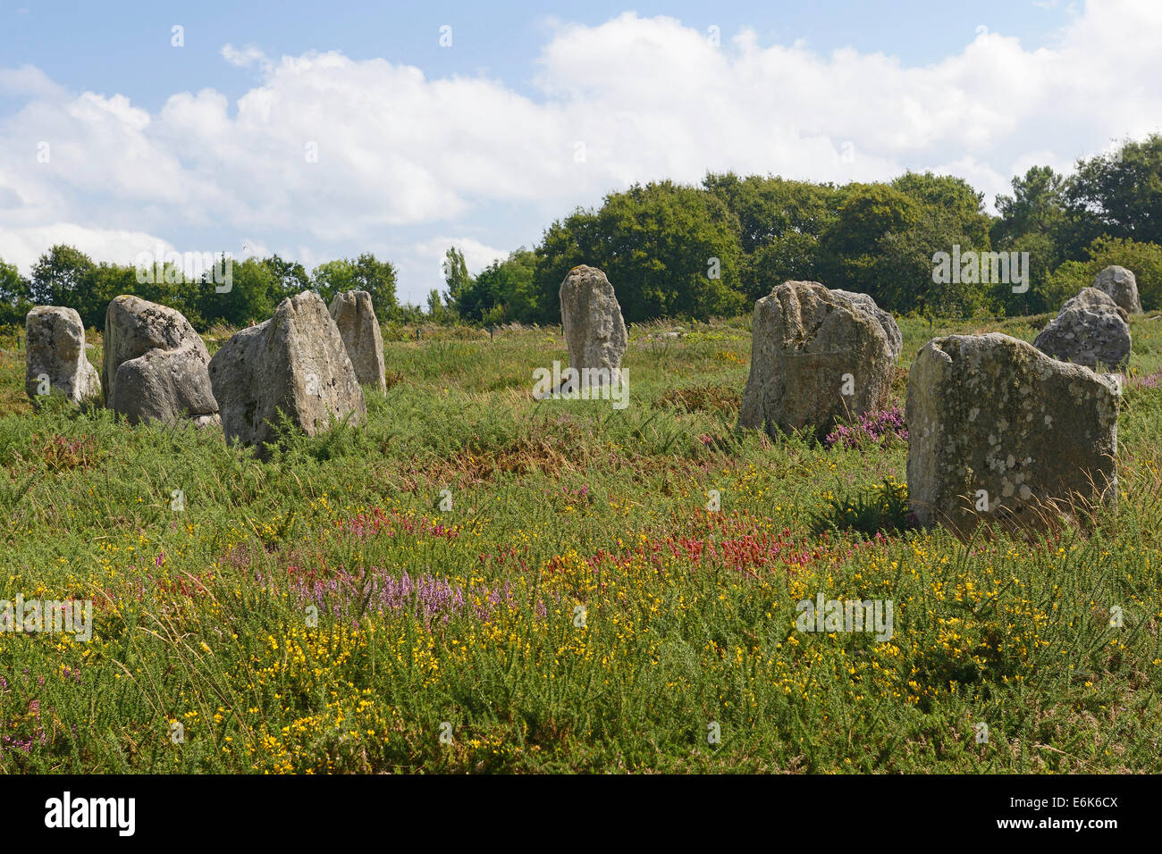 Carnac stones, menhir vicino a Carnac, Dipartimento Morbihan, in Bretagna, Francia Foto Stock