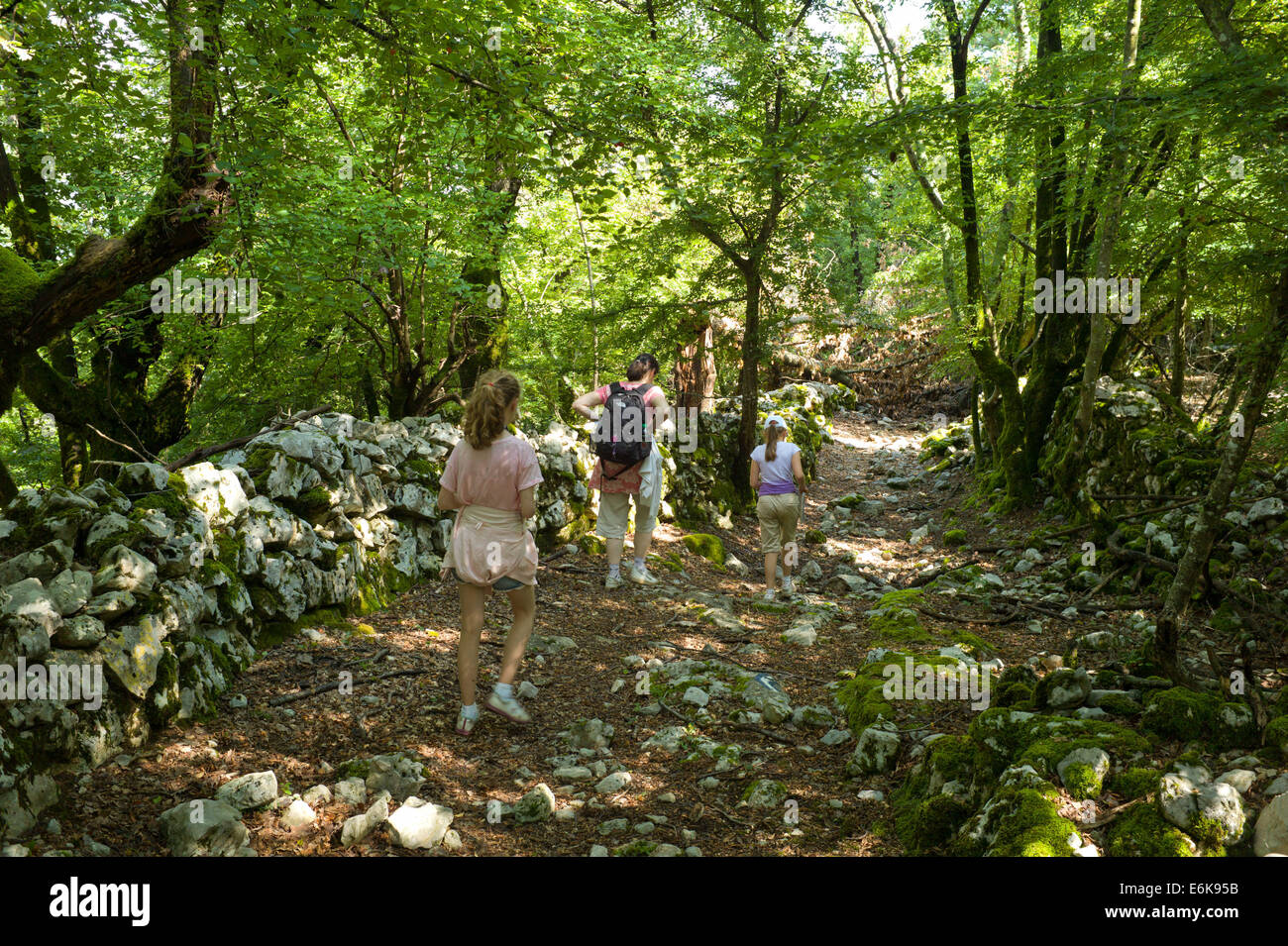 Walker in foresta sul sentiero Eco nei pressi di Beli village, isola di Cres, Croazia Foto Stock