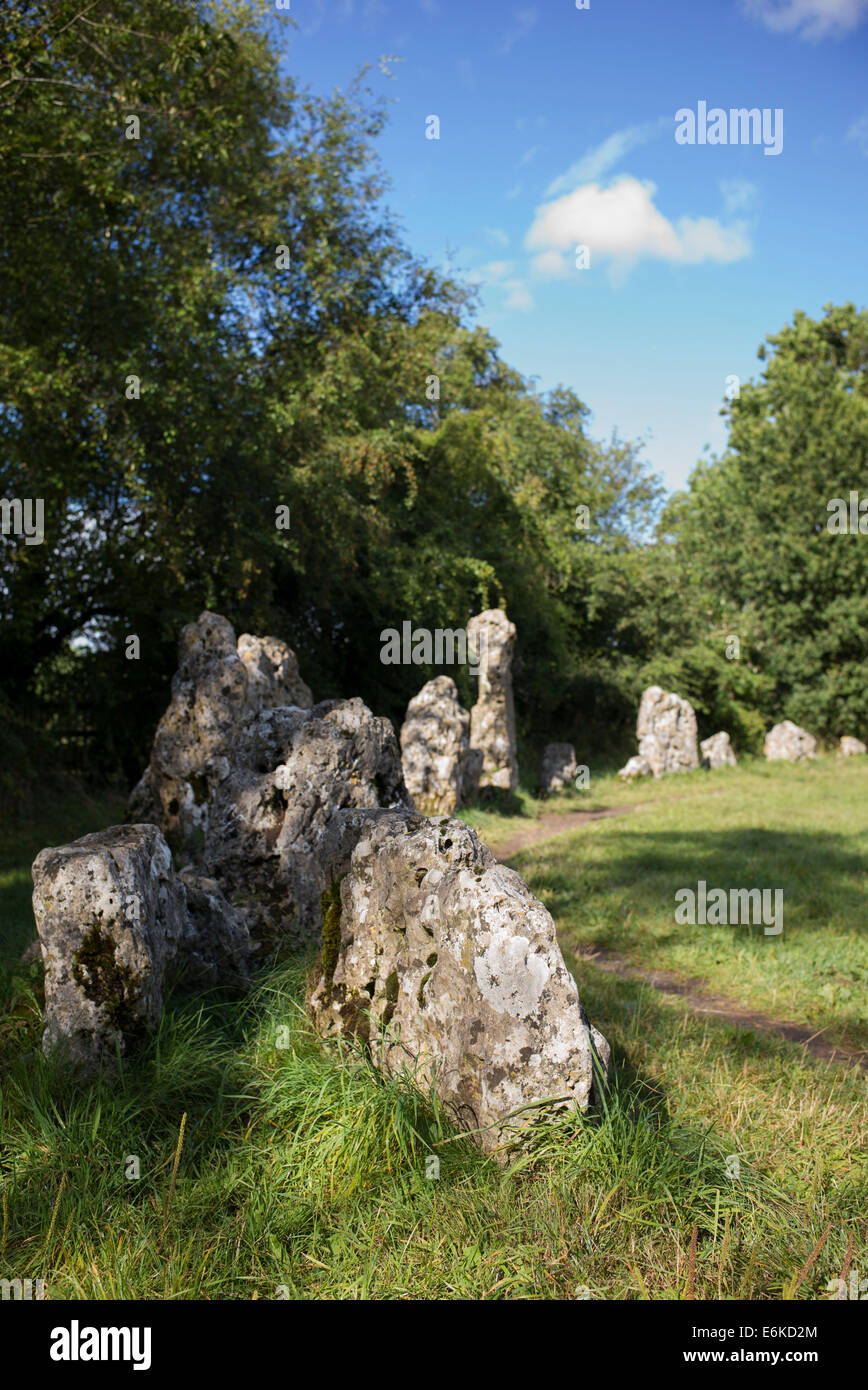 Il Rollright Stones. Oxfordshire, Inghilterra Foto Stock