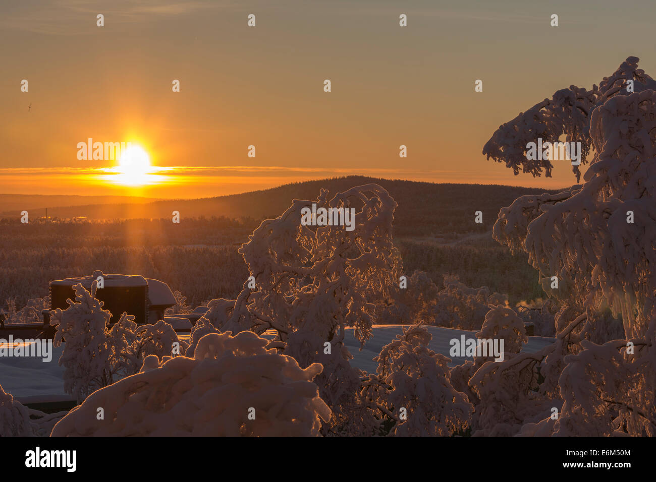 Paesaggio invernale in luce diretta con alberi innevati in novembre in Malmberget in Lapponia svedese Foto Stock