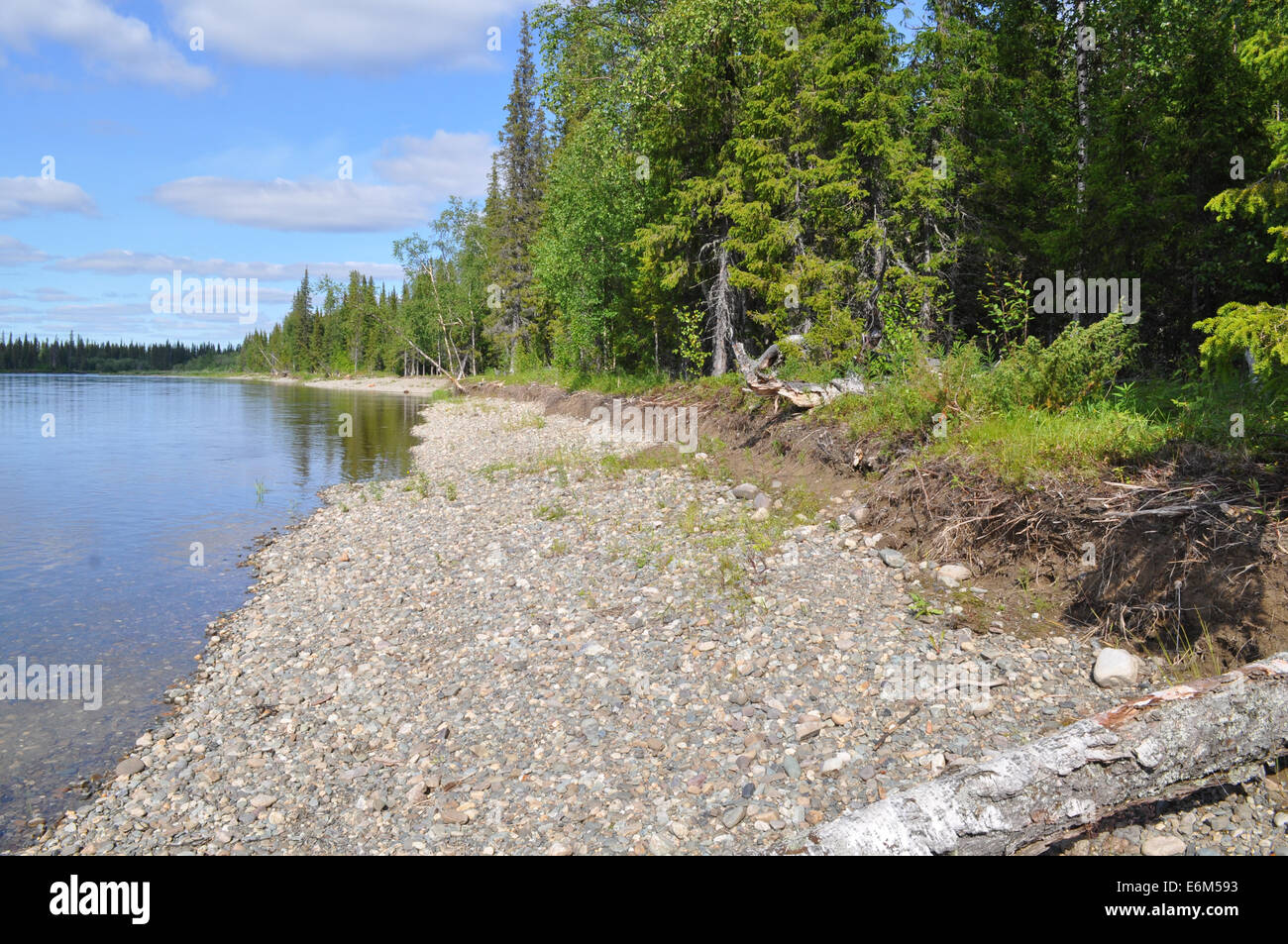 Paesaggio solare del nord del fiume di ghiaia. Il Polar Urali, il fiume Lemva, Repubblica di Komi, Russia. Foto Stock