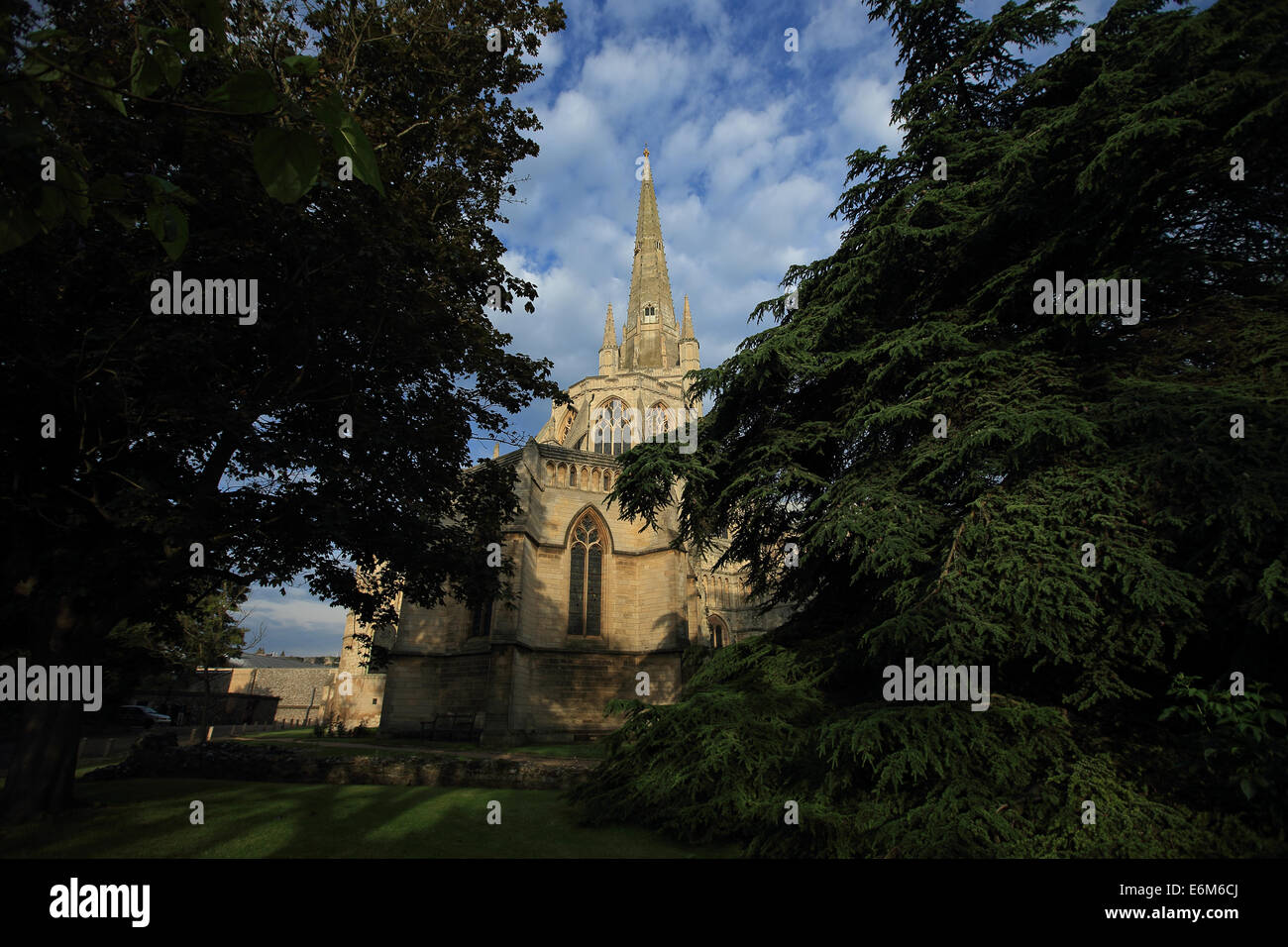 Cattedrale di Norwich Norfolk Inghilterra GB UK Gran Bretagna Giugno 2014 Foto Stock