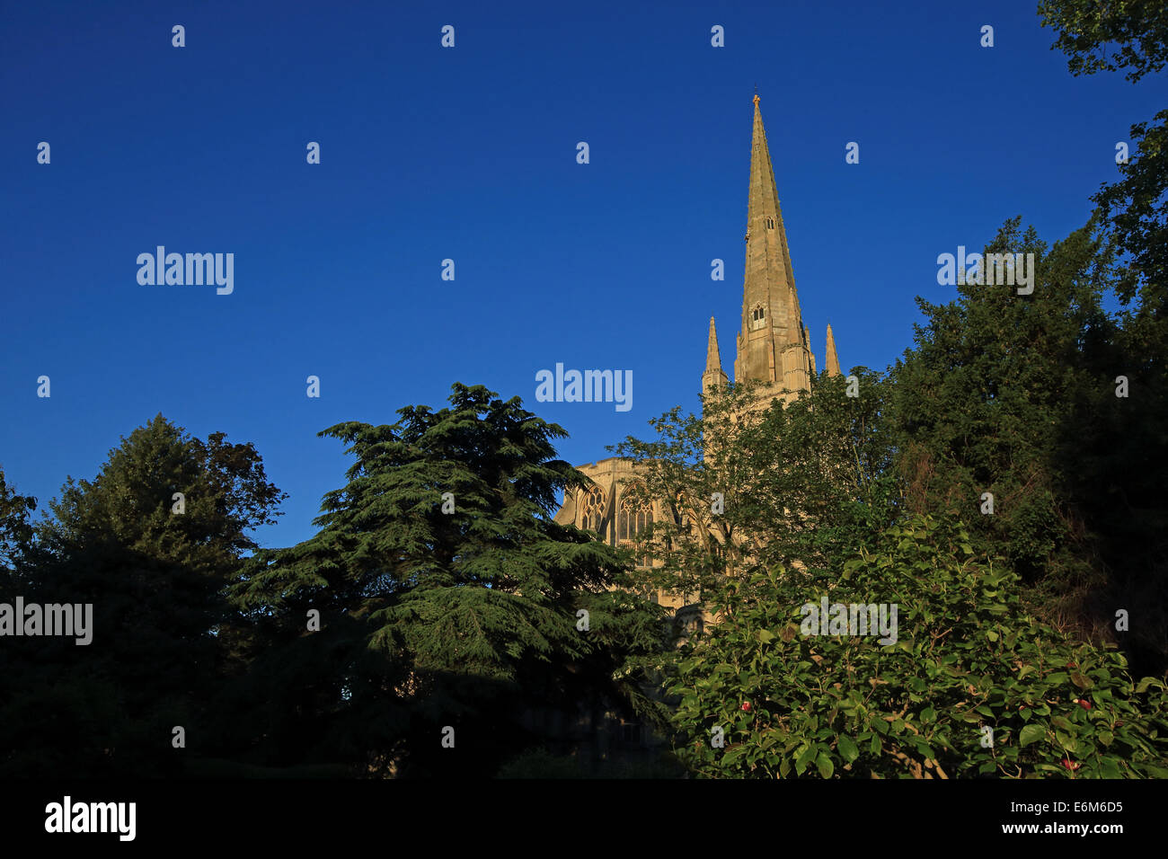 Cattedrale di Norwich Norfolk Inghilterra GB UK Gran Bretagna Giugno 2014 Foto Stock