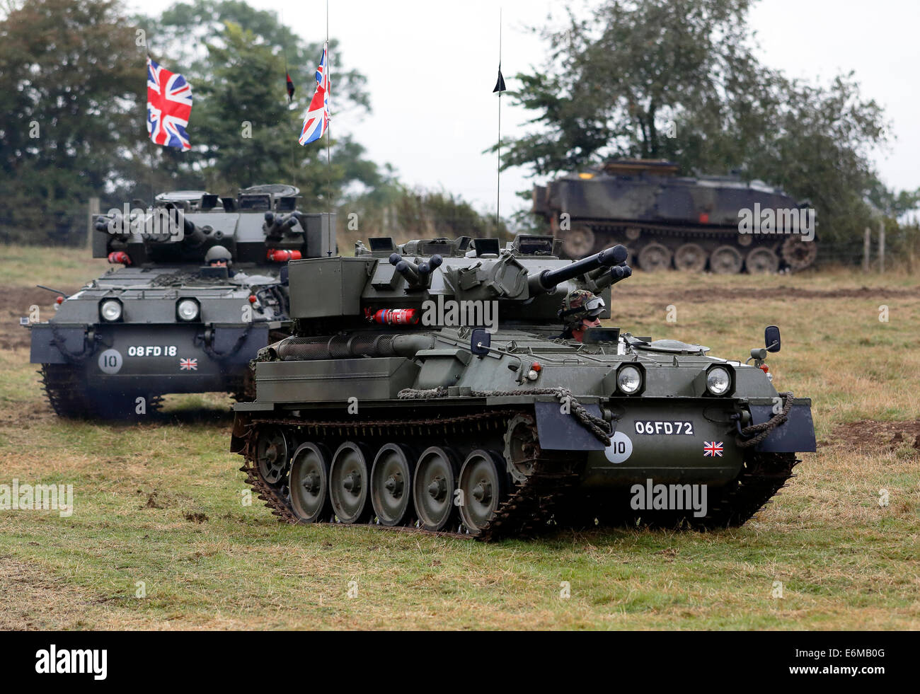 Scorpioni Foto Stock