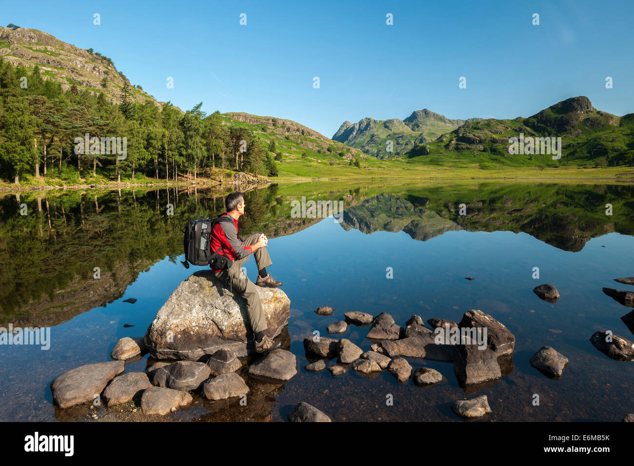 Blea Tarn e The Langdale Pikes, nel distretto del lago, Cumbria, England, Regno Unito Foto Stock