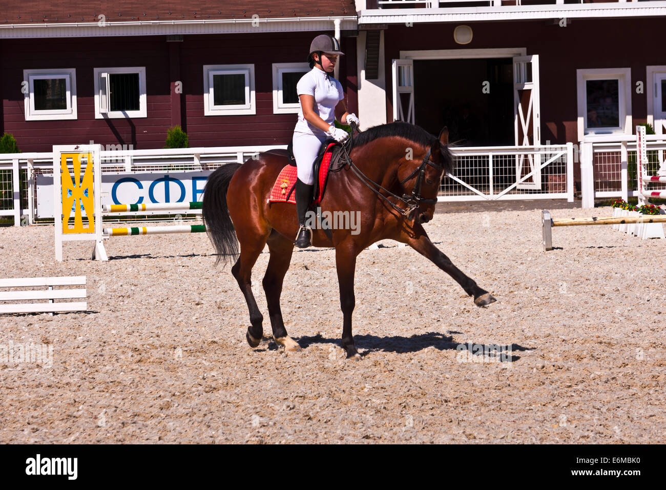Pilota femmina su un oscuro Arabian di razza pura dimostrando cavallo dressage al Groumant Horse Show a Tula, Federazione russa. Foto Stock