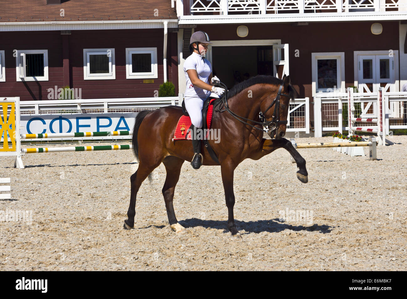 Pilota femmina su un oscuro Arabian di razza pura dimostrando cavallo dressage al Groumant Horse Show a Tula, Federazione russa. Foto Stock